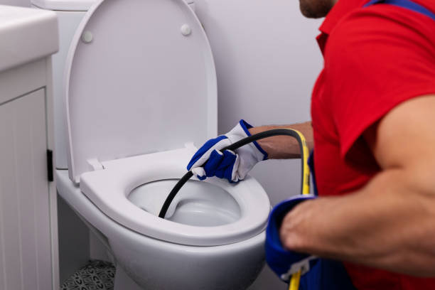 Best Local Plumber Services  in Tremont, IL