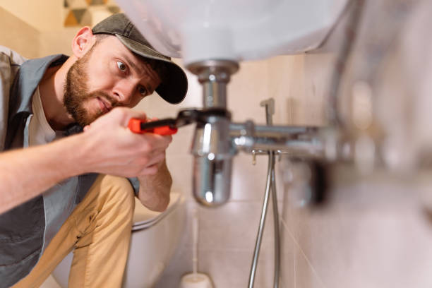  Tremont, IL Plumbing Pros