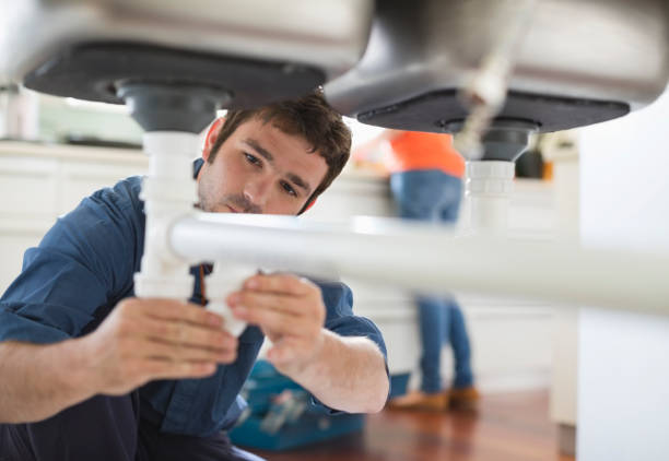 Best Same-Day Plumbing Service  in Tremont, IL